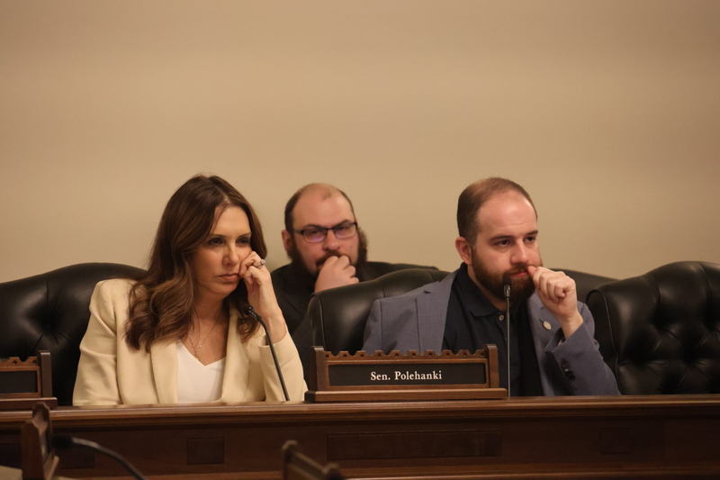 Amid outcry against 24% pot tax, Michigan Senate panel eyes regulatory tweaks for cannabis industry