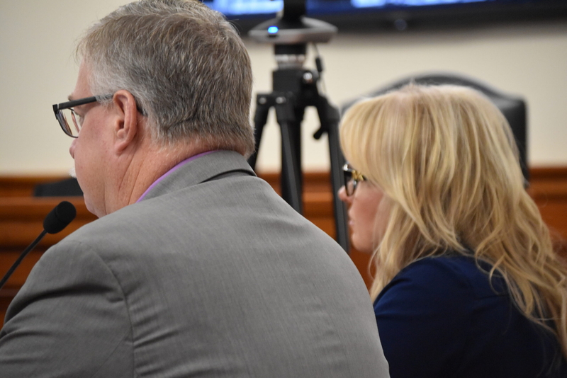 Reps. John Roth (R-Interlochen) and Alicia St. Germaine (R-Harrison Township) testify to the House Families and Veterans Committee.