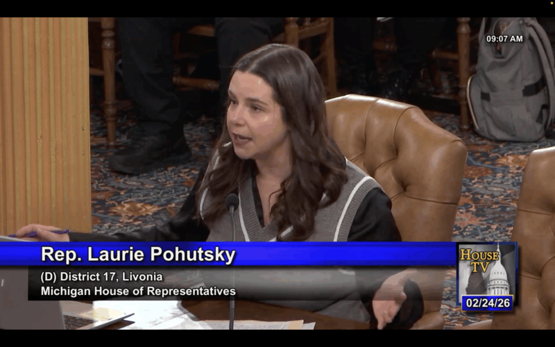 State Rep. Laurie Pohutsky (D-Livonia) testifies to the House Oversight Committee