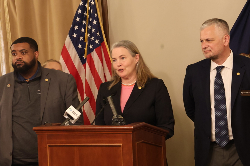 Democrats propose ‘Green Amendment’ to Michigan Constitution, establishing environmental rights