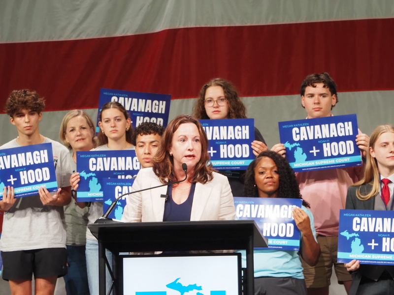 Michigan Democrats finalize nominations, continue calls for unity heading into November
