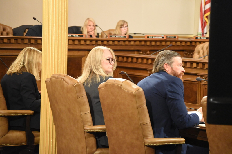Audit into public health contract process sparks outrage from Michigan House Oversight members