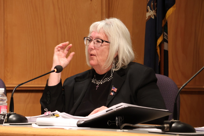 South Lyon City Council directs staff to examine impacts of canceling Flock contract