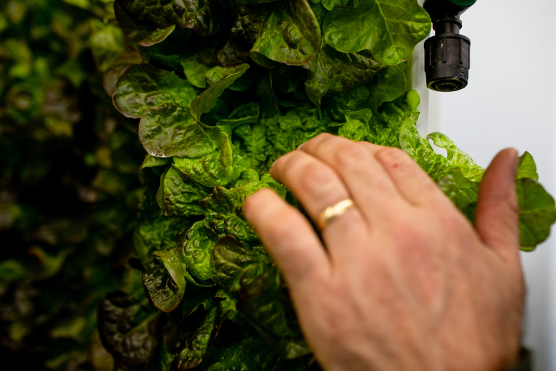 Rural Minnesota’s grocery stores are changing plans, hands