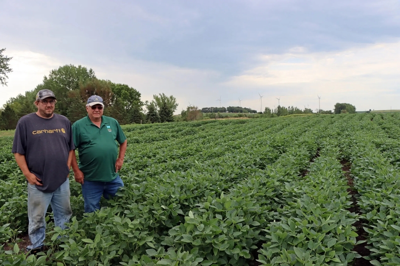 Minnesota led the nation in farm bankruptcies in the first quarter, and farmers are anxious