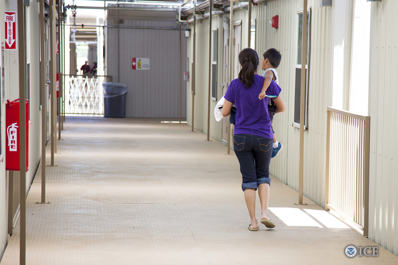 During Operation Metro Surge, ICE arrested dozens of immigrant crime victims