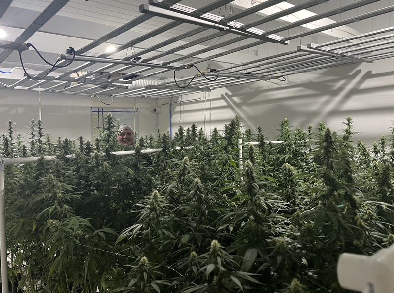 ‘Blood, sweat and tears’: Missouri cannabis microbusiness owners begin to see light
