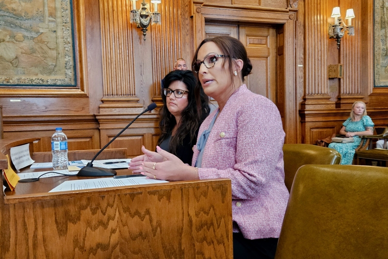 Missouri lawmakers press child welfare leaders on foster care deaths, staff turnover