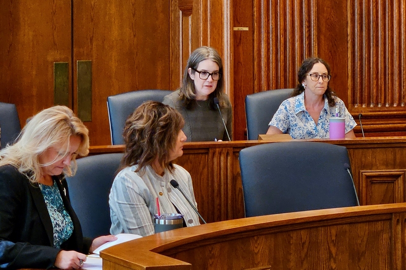 Missouri lawmakers press child welfare leaders on foster care deaths, staff turnover