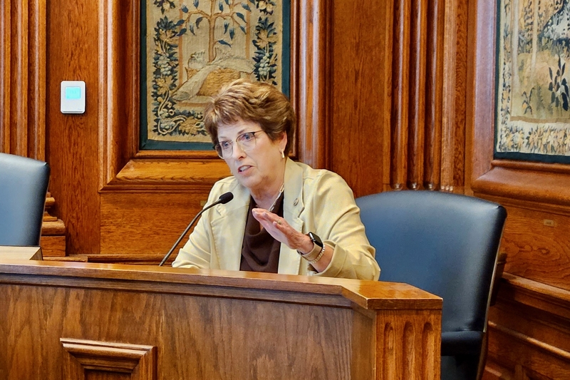 Missouri lawmakers press child welfare leaders on foster care deaths, staff turnover