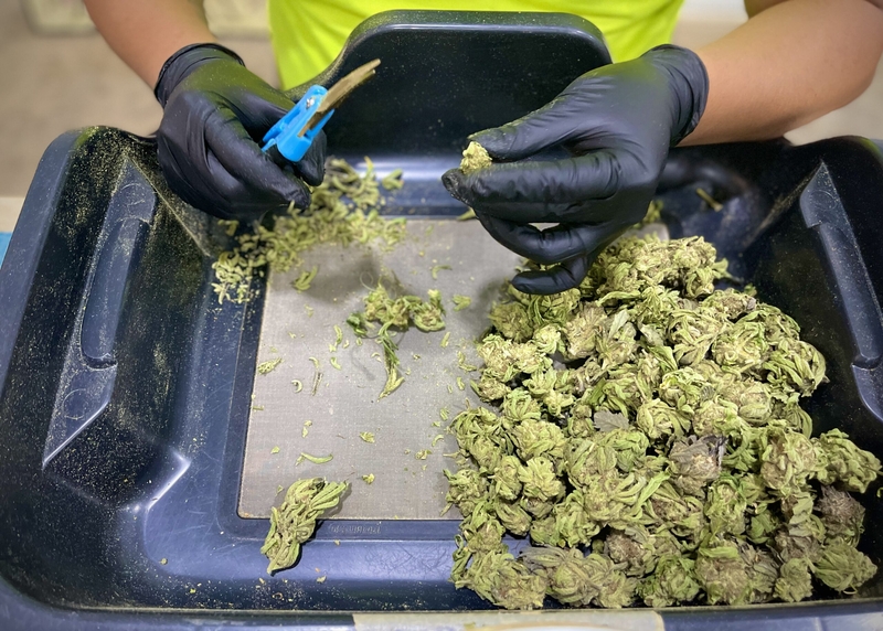 Missouri marijuana businesses await IRS rules on promised federal tax relief