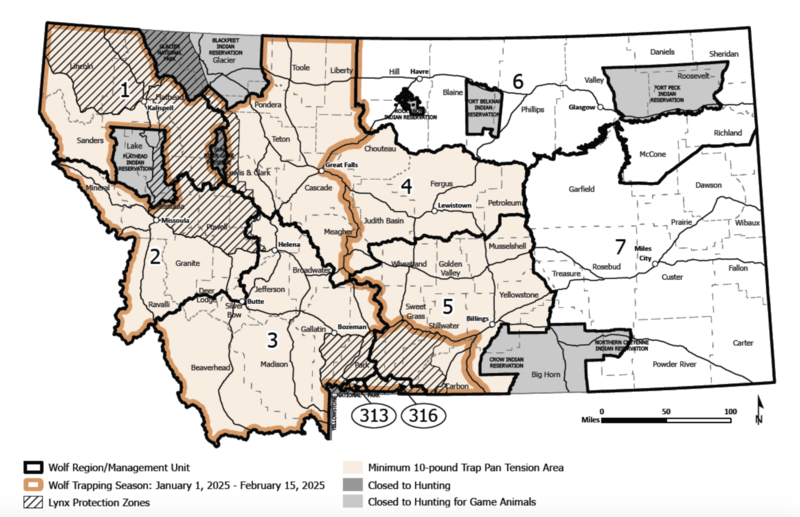 A map showing the different wolf trapping regions for 2024-25 and where seasons will be restricted by a federal court order. (Map courtesy FWP/Fish and Wildlife Commission)