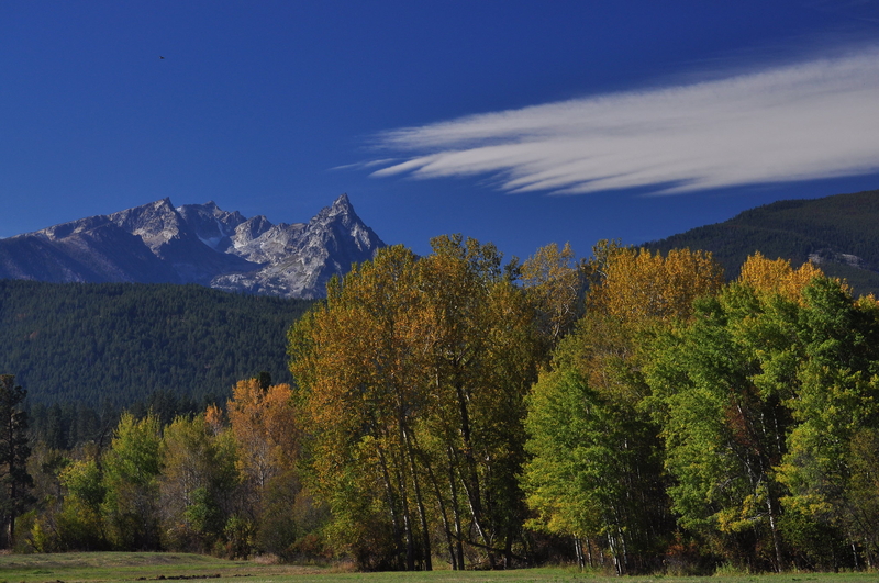 Montana US Senate candidates share debate stage
