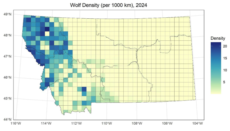 FWP proposes increased wolf harvest quotas as population remains steady