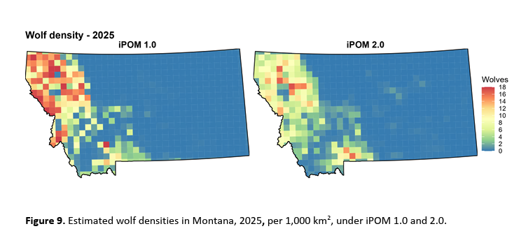 Montana FWP: State has overestimated wolf population by hundreds