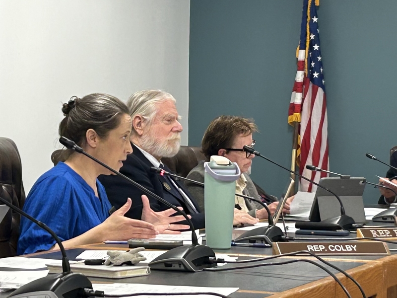 Bill would forbid New Hampshire towns from enacting regulations specific to data centers