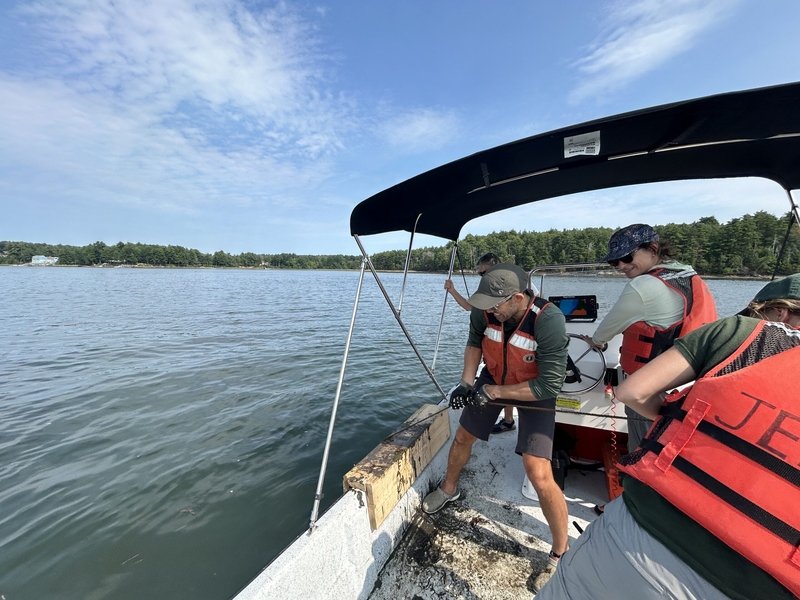 New faces cause a stir in the New Hampshire crustacean community
