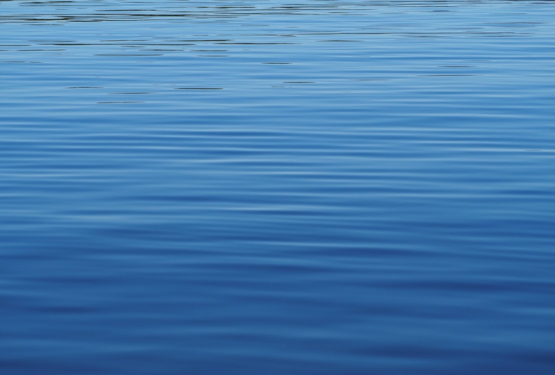 Three summers after costly cyanobacteria treatment, a small NH lake is still in the clear