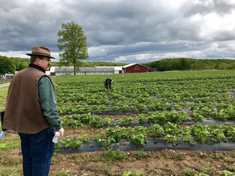 NJ farmers plead for help after April freeze destroyed fruit trees, other crops
