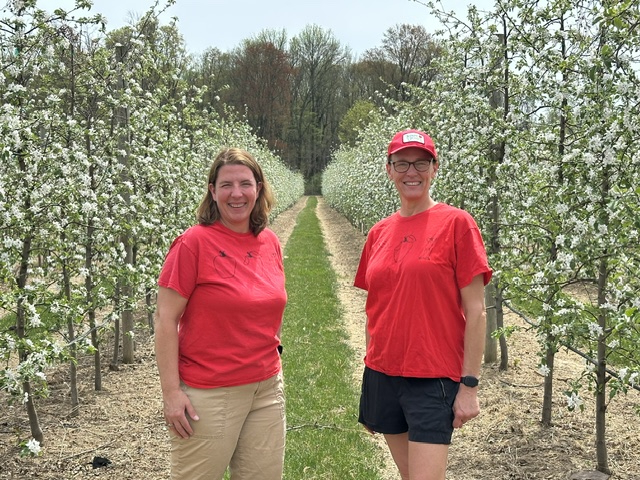 NJ farmers plead for help after April freeze destroyed fruit trees, other crops