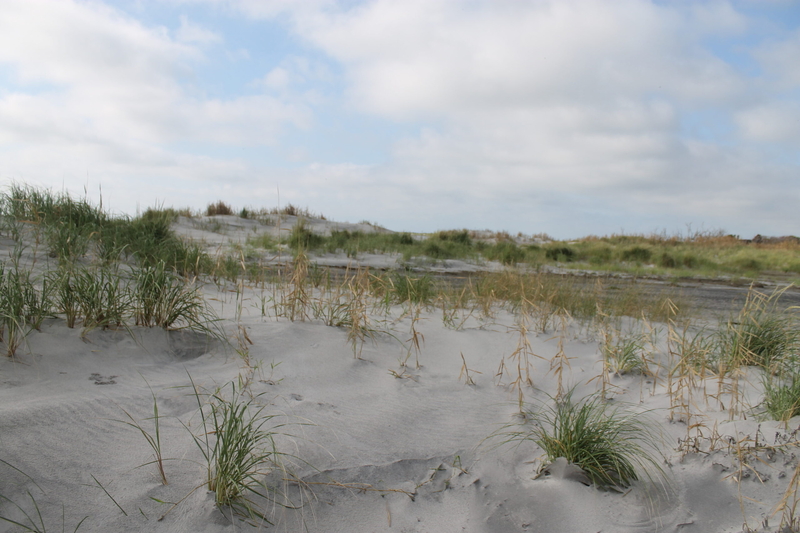 Conservationists push to preserve national wildlife refuges, fearing federal changes