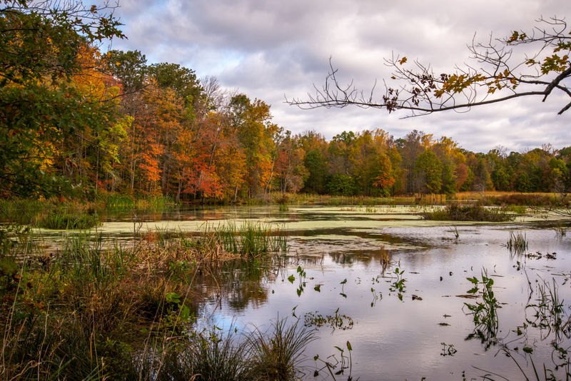 Conservationists push to preserve national wildlife refuges, fearing federal changes