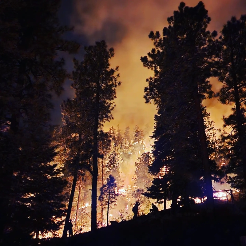 The U.S. needs wildland firefighters more than ever, but the federal government Is losing them