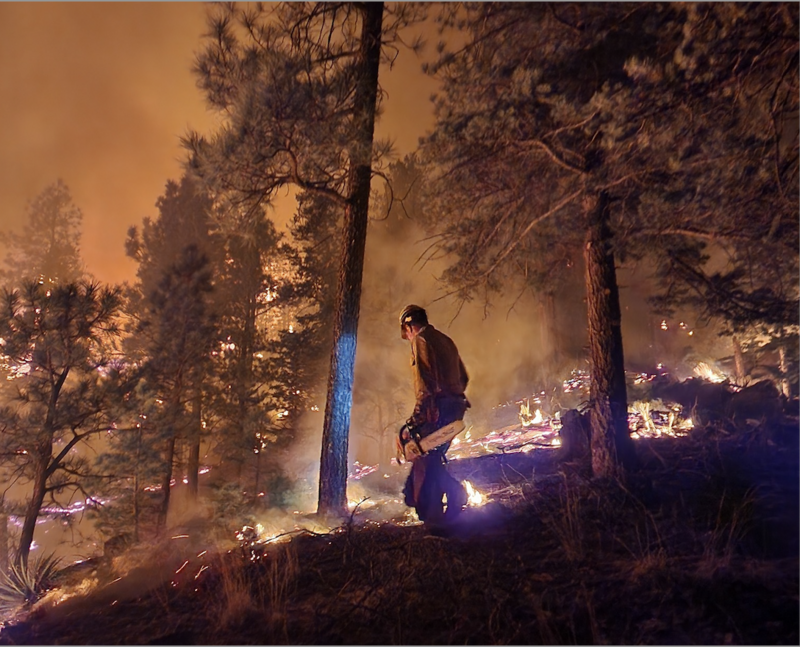 The U.S. needs wildland firefighters more than ever, but the federal government Is losing them