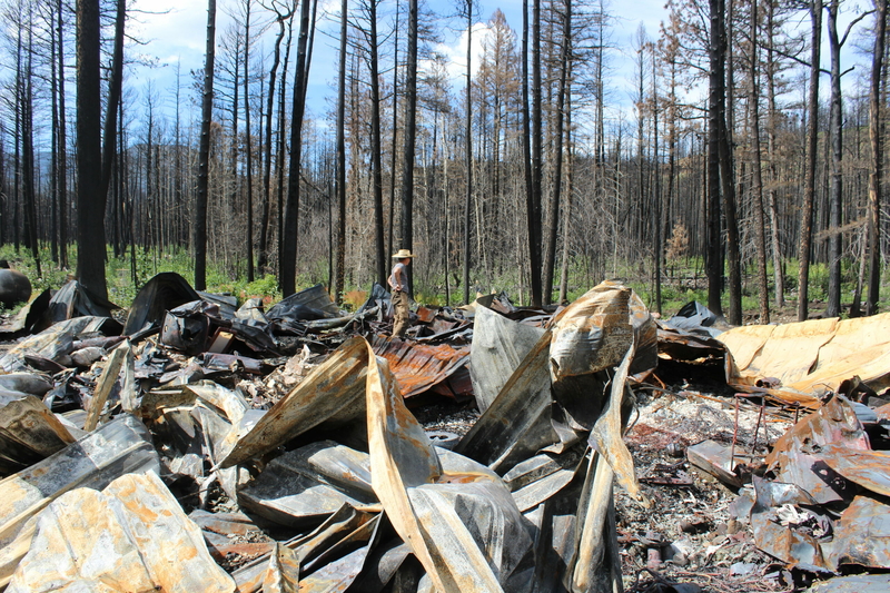 Big law firms circle burn scar to get some of $2.5 billion NM fire payout