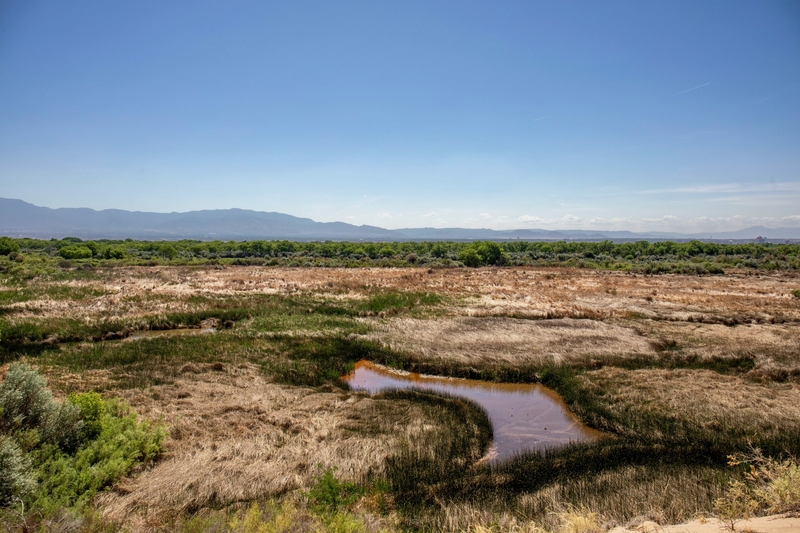 The oxbow, a horseshoe curve of the river which has transformed over time into a marsh, as seen from the San Antonio Bluffs on Albuquerque's Westside.