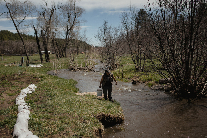 Tyler White collects water from the Sapello River for her garden.