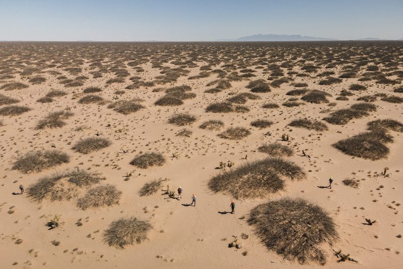 Deaths in the New Mexico desert surge after Texas’ border crackdown reaches El Paso
