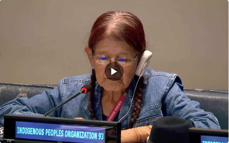 Lawmakers call for study of forced sterilization of Indigenous women