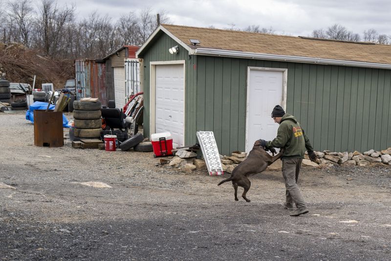 Bernie Gardula walks with his dog near his office at Rausch Creek Off-Road Park in Pine Grove, Schuylkill County, on March 12, 2026. (Photo by Jessica Kourkounis/Pennsylvania Capital-Star)