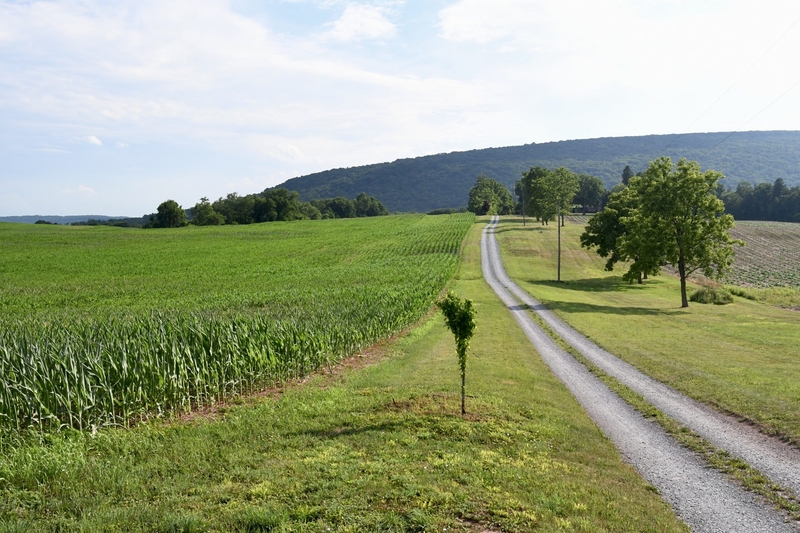 Data center developers want to build in three Pa. communities. Each has its own experience.