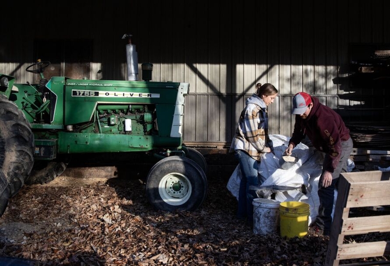 Novice farmers face big challenges making it in today’s ag sector