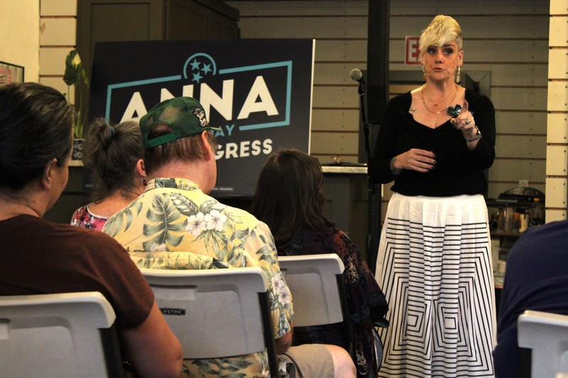 The Democrat daring to defy the odds and flip Tennessee’s 3rd District blue