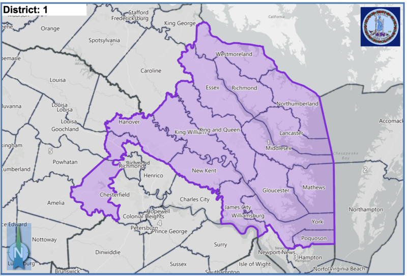 Wittman seeks to keep 1st District seat, as Democratic challengers face crowded primary