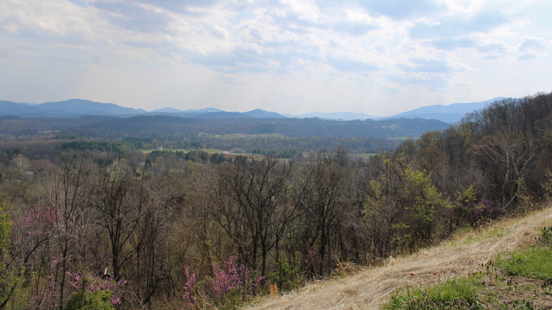 Residents wrangle over transmission line proposal for rural Virginia