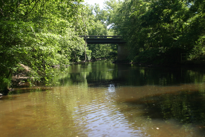 After Ashland dam removal, freshwater mussel species reintroduced to South Anna River