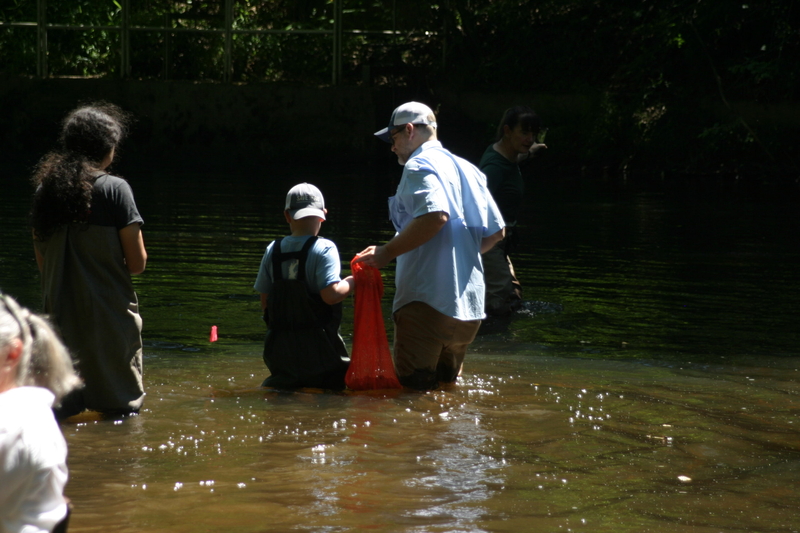 After Ashland dam removal, freshwater mussel species reintroduced to South Anna River