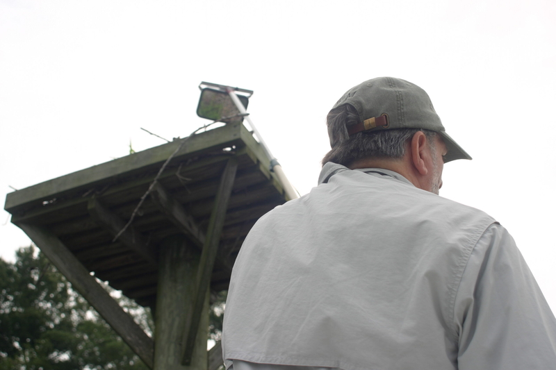 Menhaden management board advances addendum with potential cuts to Chesapeake Bay fishery limits