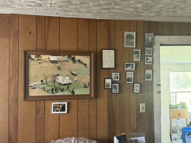 ‘Priceless to me’: Valley Link transmission line threatens generational farm in Orange County