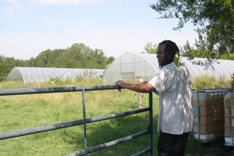 ‘Priceless to me’: Valley Link transmission line threatens generational farm in Orange County