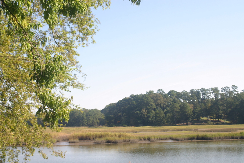 EPA to give $90M for clean water and restoration projects in Chesapeake Bay watershed, 28 in Va.