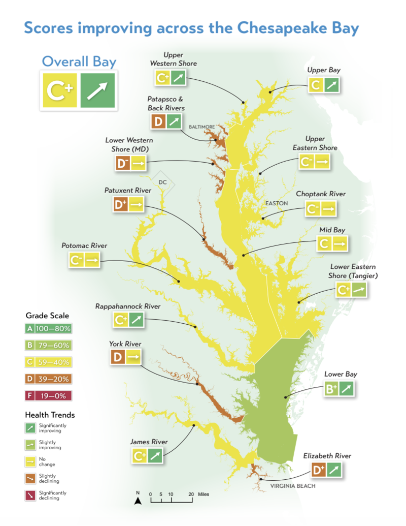 Chesapeake Bay gets a C+ in overall health, Va. and Md. leaders say work to protect it must continue
