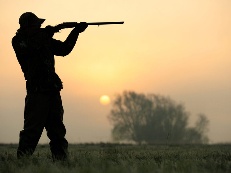 Montana Fish, Wildlife and Parks analyzing nonresident hunting impacts, seeks hunter input