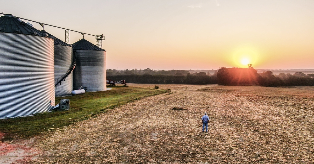 Billions of dollars at stake for farmers hit by Trump funding freeze ...