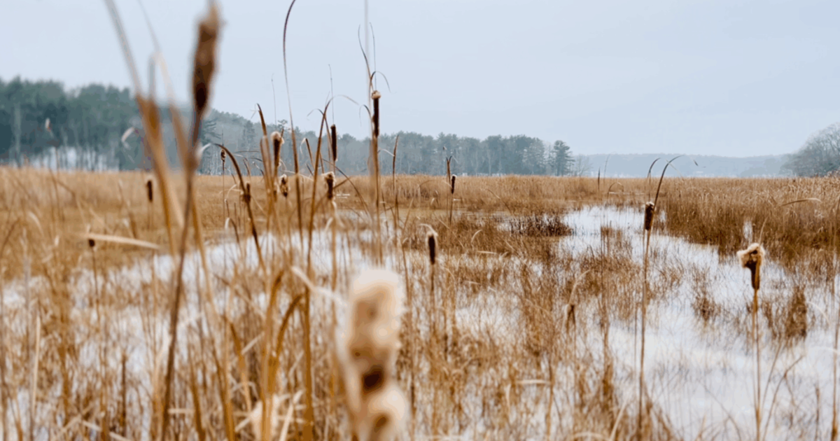 Maine DOT’s plans for Arrowsic and Georgetown access road fall short of ...