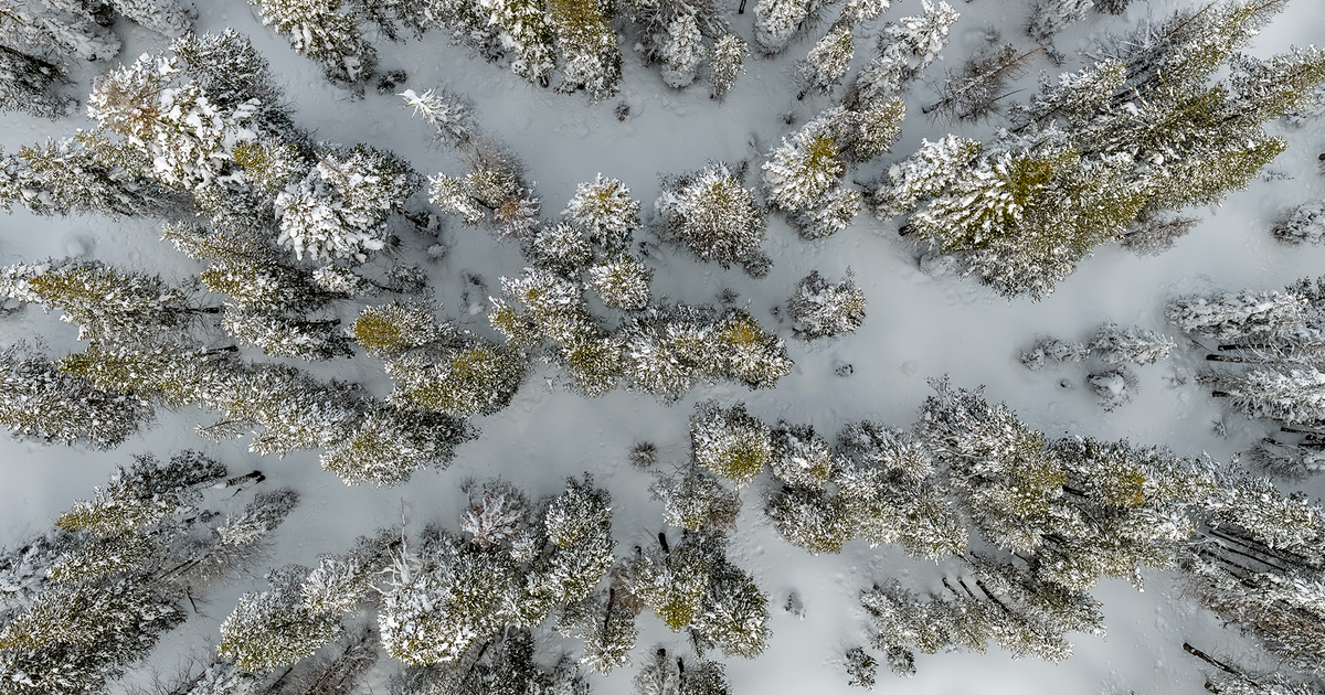 Sparse Snow Sparse snowpack in California fuels concern over fast-approaching fire ...